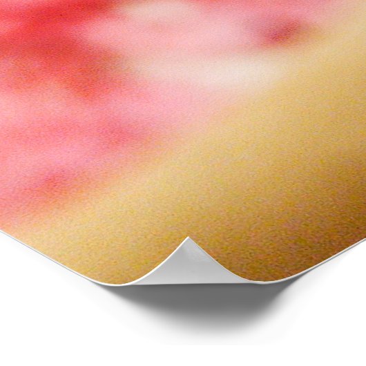 Marley Cherry Blossom Pedals Poster (Ecke)