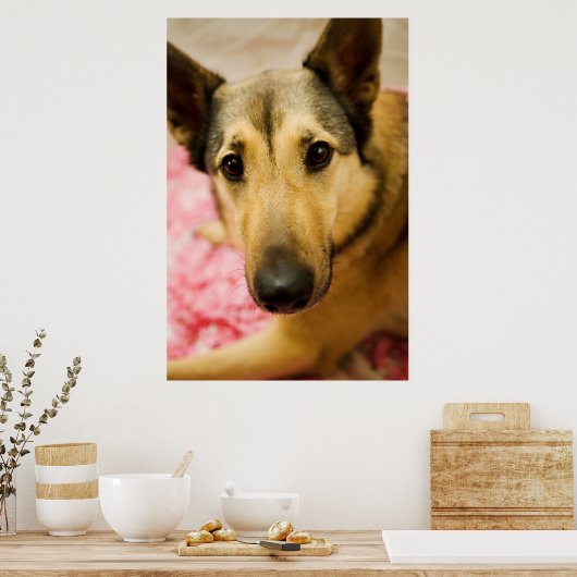 Marley Cherry Blossom Pedals Poster (Küche)