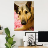 Marley Cherry Blossom Pedals Poster (Heimbüro)