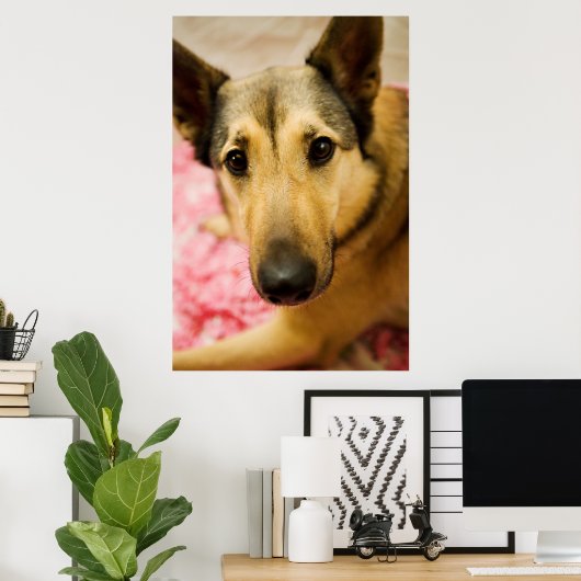 Marley Cherry Blossom Pedals Poster (Heimbüro)