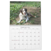 Marley Kalender (Feb 2027)