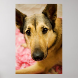 Marley Kirschblüten-Pedale Poster