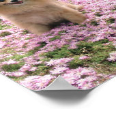 Marley mit rosa Blume Poster (Ecke)
