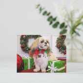 Marley - Shih Tzu - Robbins Postkarte (Stehend Vorderseite)