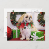 Marley - Shih Tzu - Robbins Postkarte (Vorne/Hinten)