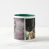 Marley Tasse (Zentrum)