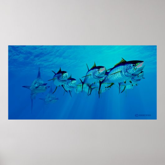 Marlin nach Yellowfin Tuna School Poster (Vorne)