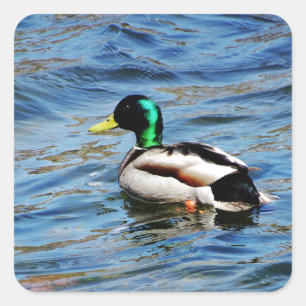 Marllad Quadratischer Aufkleber