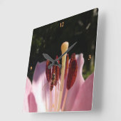 Marmalade Hoverfly - Episyrphus balteatus Quadratische Wanduhr (Winkel)