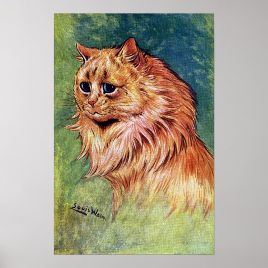 Marmalade Katze mit blauen Augen Poster (Vorne)