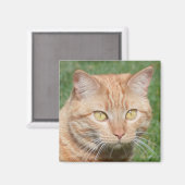 Marmalady in der Sonne Magnet (Vorderseite/Rückseite)