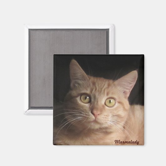 Marmalady Magnet (Vorderseite/Rückseite)