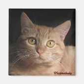 Marmalady Magnet (Vorne)