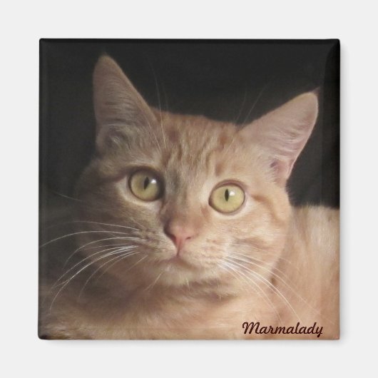 Marmalady Magnet (Vorne)