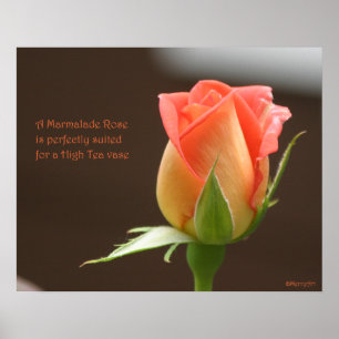 Marmeladen-Rosen-Plakat: ROSE u. PROSA 20x16 Poster