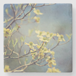 Marmor- und Dogwoods-Untersetzer Steinuntersetzer