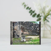 Marmorbrunnen und -bank postkarte (Stehend Vorderseite)