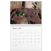 Marmore q lösen II Kalender (Feb 2027)