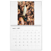 Marmore q lösen II Kalender (Mär 2027)