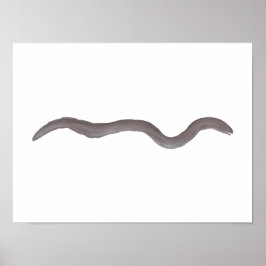 Marmorierter Sumpfaal Poster
