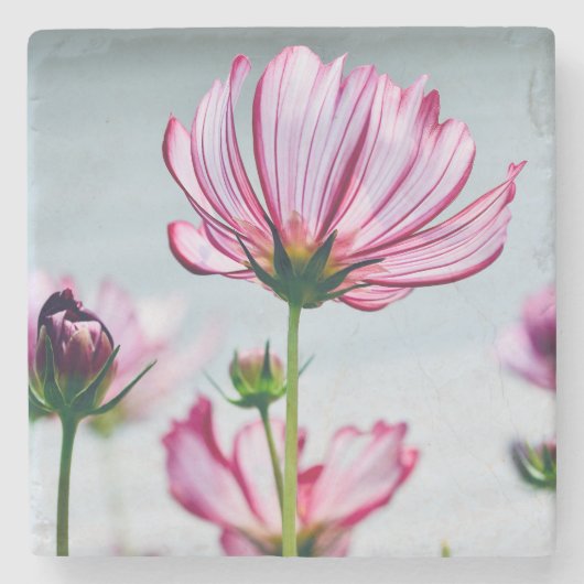 Marmorkosmos-Untersetzer Steinuntersetzer (Vorderseite)