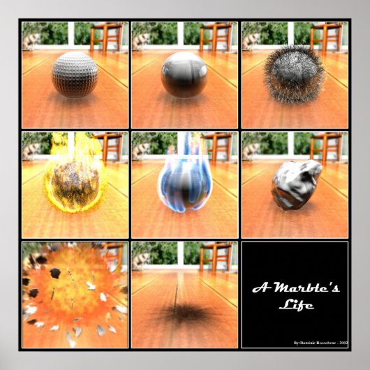 Marmorleben Poster (Vorne)