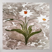 Marmornarzisse Poster (Vorne)