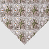 Marmornarzisse Seidenpapier (Ausschnitt)