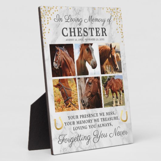 Marmorpferde - Erinnerung an FotoCollage Fotoplatte (Seite)