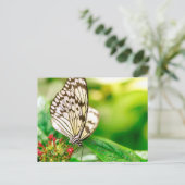 Marmorschmetterling Postkarte (Stehend Vorderseite)