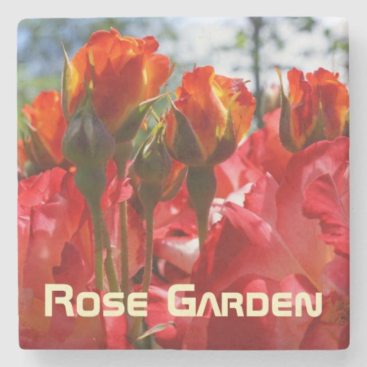 Marmorstein Untersetzer Rose Garten Rote Rosen (Vorderseite)