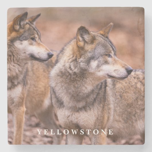 Marmorstone Untersetzer-Yellowstone Wolves Steinuntersetzer (Vorderseite)
