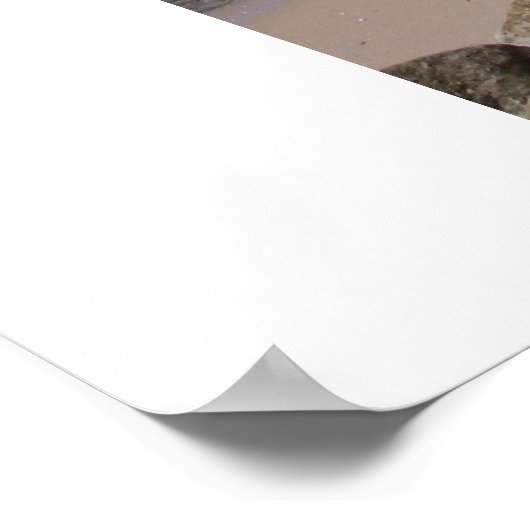 Marmorwanderung, Rota Spanien Poster (Ecke)