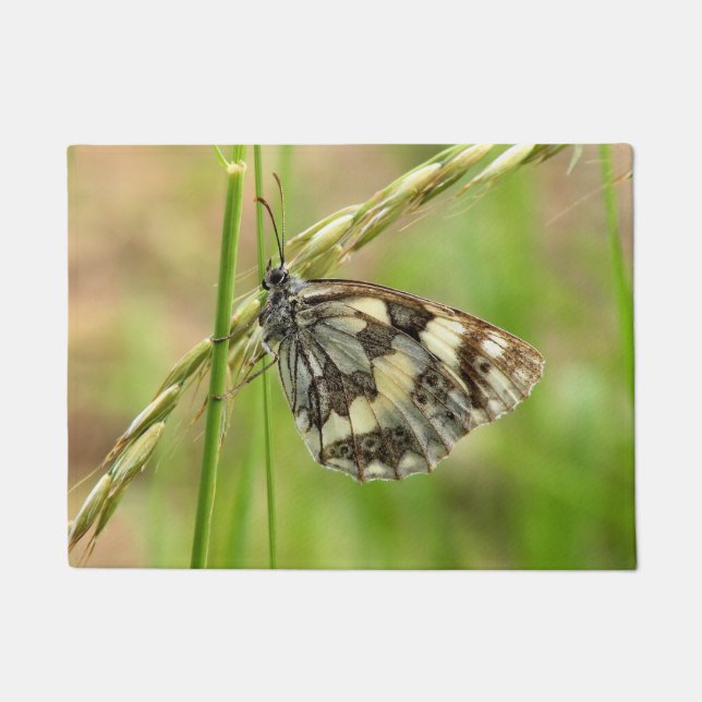 Marmorweißer Schmetterling auf Gras Fußmatte (Vorderseite)