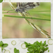 Marmorweißer Schmetterling auf Gras Geschirrtuch (Gefaltet)