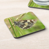 Marmorweißer Schmetterling auf Gras Getränkeuntersetzer (Linke Seite)