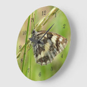 Marmorweißer Schmetterling auf Gras Große Wanduhr (Winkel)