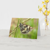 Marmorweißer Schmetterling auf Gras Karte (Gelbe Blume)