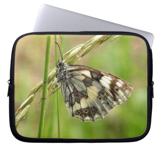 Marmorweißer Schmetterling auf Gras Laptopschutzhülle (Vorderseite)