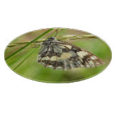 Marmorweißer Schmetterling auf Gras Schneidebrett (Ecke)