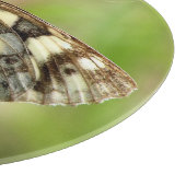 Marmorweißer Schmetterling auf Gras Schneidebrett (Ecke)