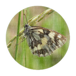 Marmorweißer Schmetterling auf Gras Schneidebrett