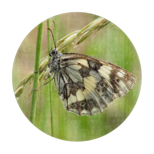 Marmorweißer Schmetterling auf Gras Schneidebrett (Vorderseite)