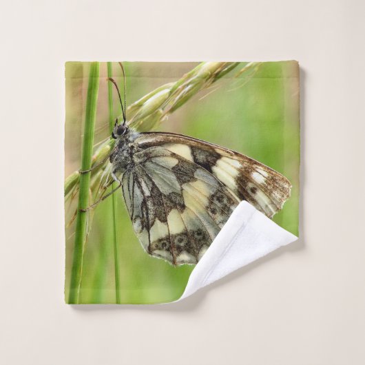 Marmorweißer Schmetterling auf Gras Waschlappen (Waschlappen)