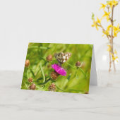 Marmorweißer Schmetterling Karte (Gelbe Blume)
