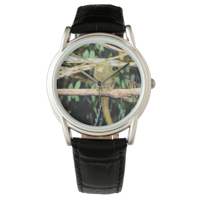 Marmoset-Affe, die auf einer Zweigniederlassung si Armbanduhr (Vorderseite)