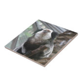 Marmoset Fliese (Seite)