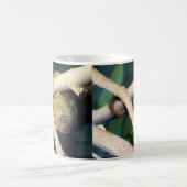 Marmoset Monkey Hallo da, Kaffee Tasse (Mittel)