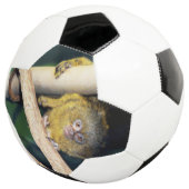 Marmoset Monkey Hi There, Fußball Ball (Dreiviertel)