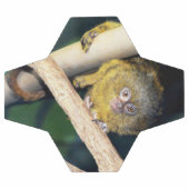 Marmoset Monkey Hi There, Fußball Ball (Flach)